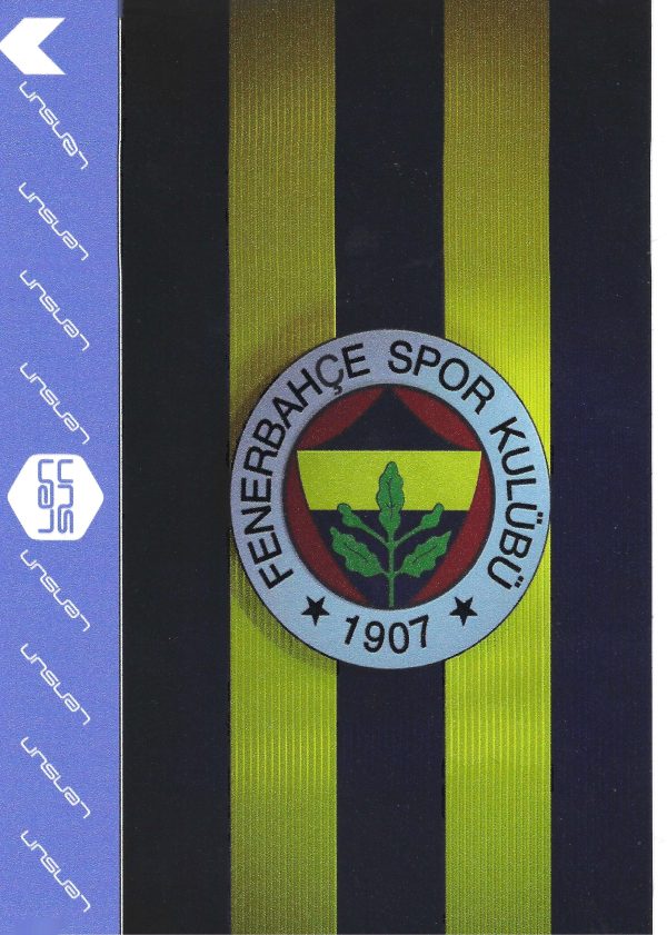 RENKLİ KAPLAMA NO 0014