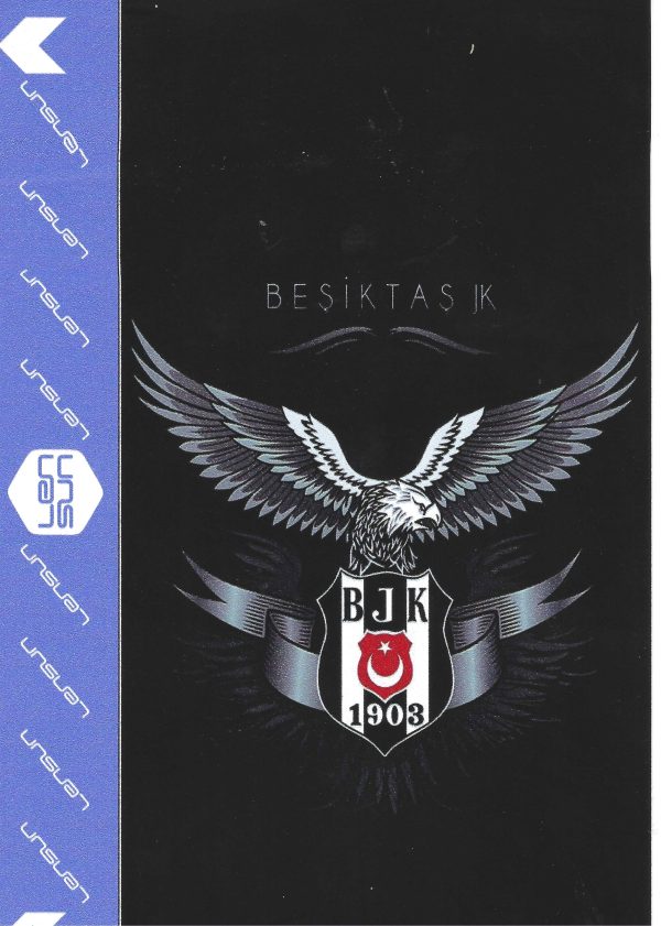 RENKLİ KAPLAMA NO 0021