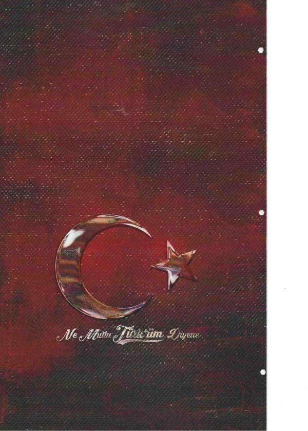 RENKLİ KAPLAMA NO 0266