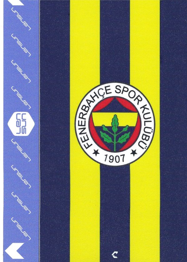 RENKLİ KAPLAMA NO 0029