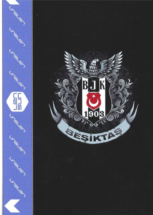 RENKLİ KAPLAMA NO 0035