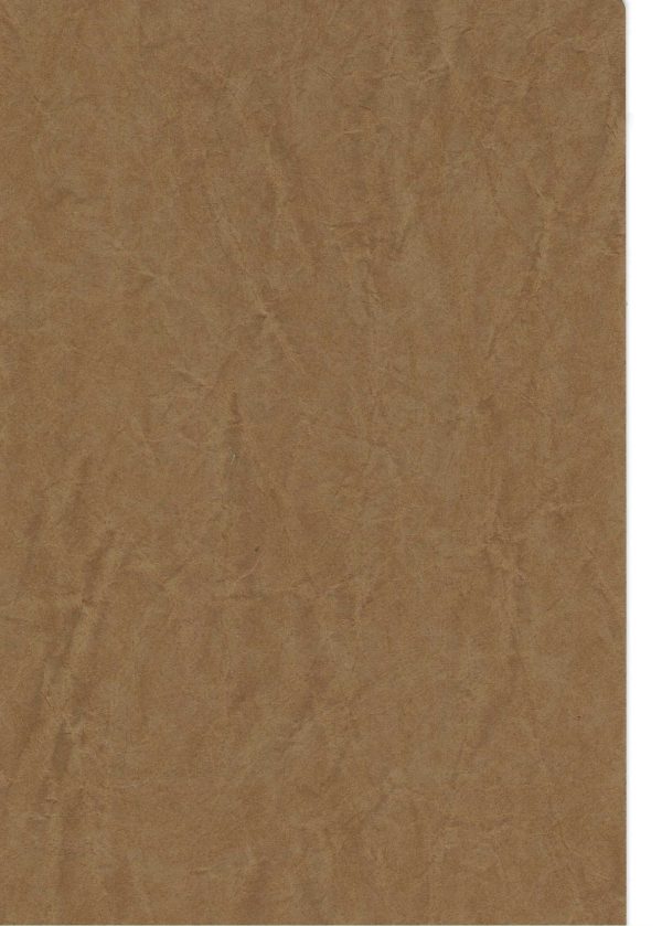 RENKLİ KAPLAMA NO 0202