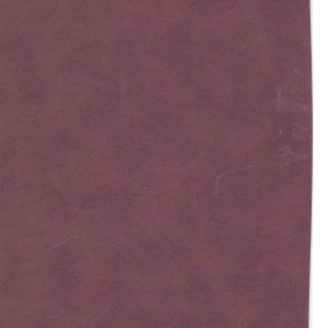 RENKLİ KAPLAMA NO 0210