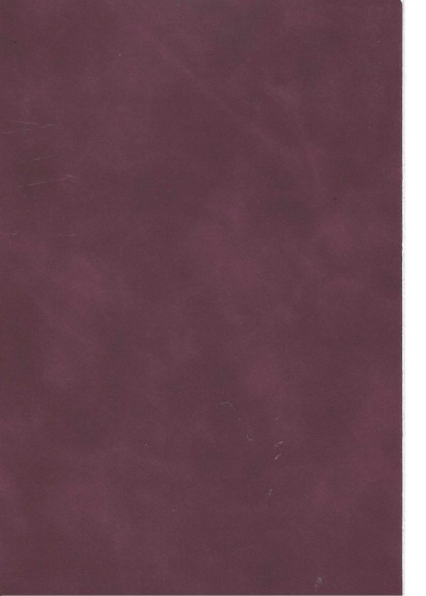 RENKLİ KAPLAMA NO 0204