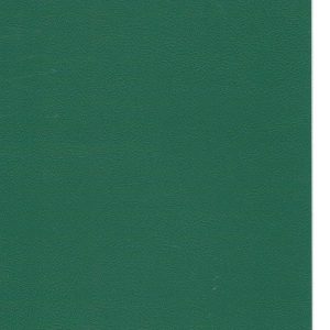 RENKLİ KAPLAMA NO 0233