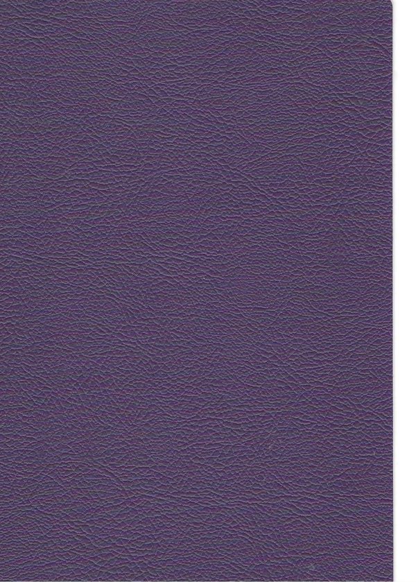 RENKLİ KAPLAMA NO 0235