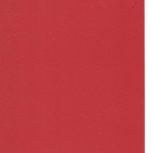 RENKLİ KAPLAMA NO 0255