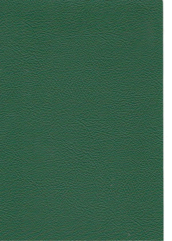 RENKLİ KAPLAMA NO 0286