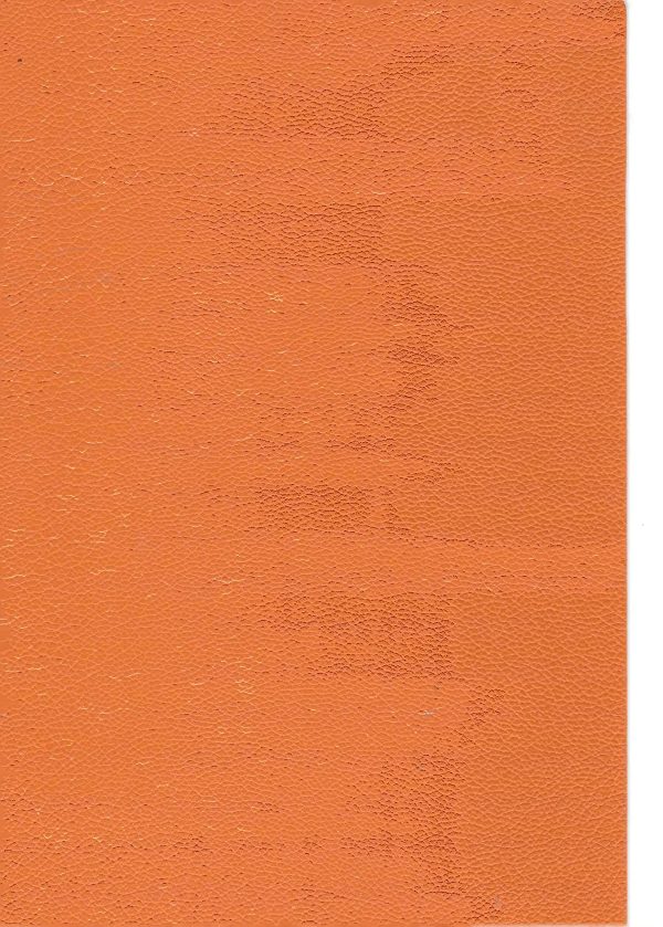 RENKLİ KAPLAMA NO 0287