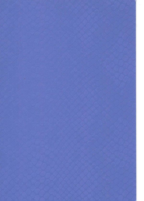RENKLİ KAPLAMA NO 0308