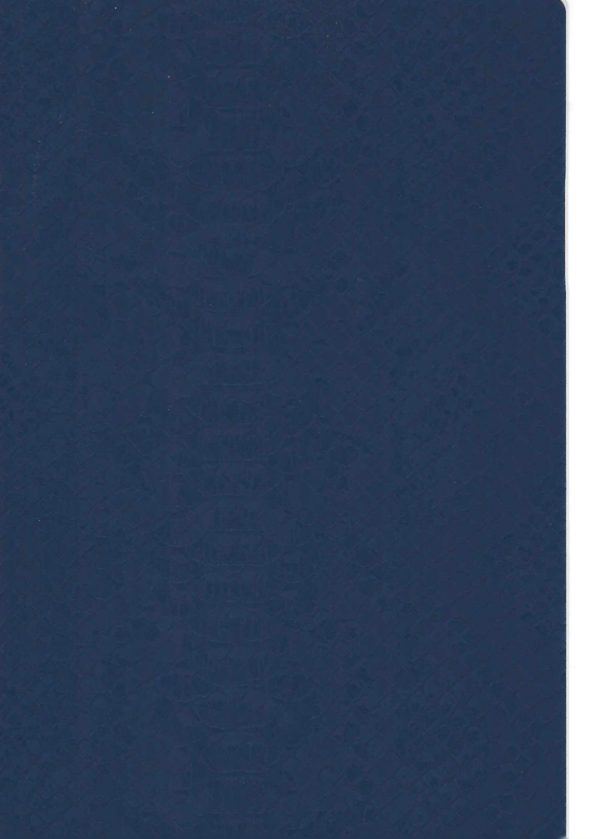 RENKLİ KAPLAMA NO 0310