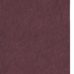 RENKLİ KAPLAMA NO 0311
