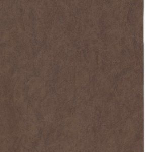 RENKLİ KAPLAMA NO 0312