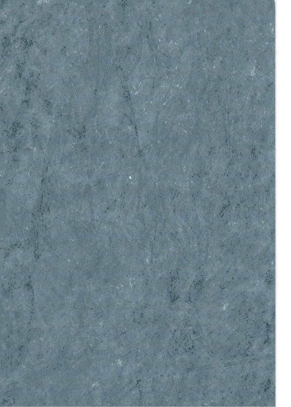 RENKLİ KAPLAMA NO 0318